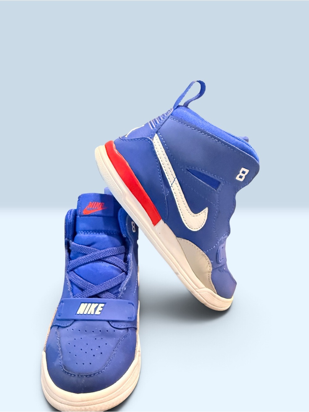 Jordan Legacy 312